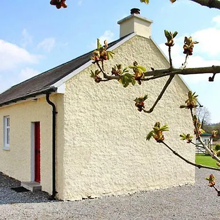 Semi-Detached House Lorrha - Eir05044-L Dom wakacyjny *